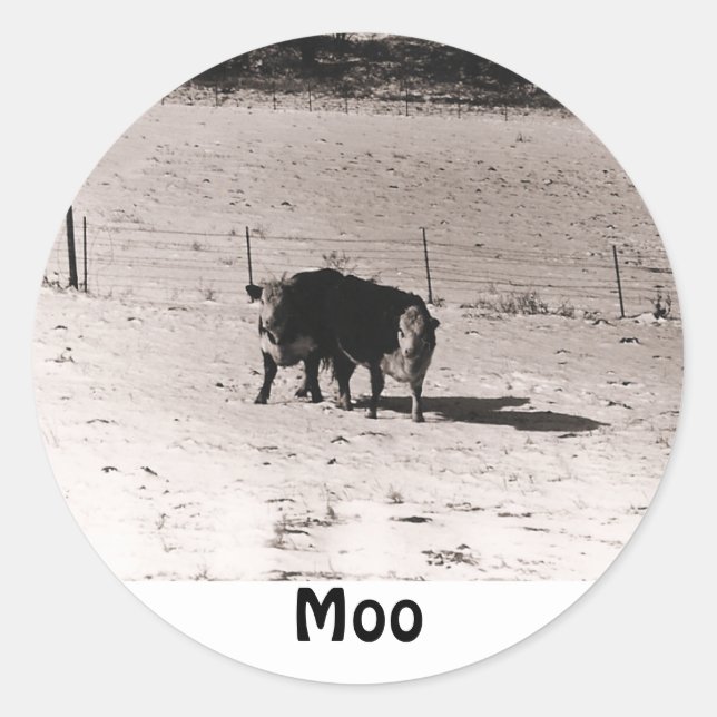Sticker Rond vaches (Devant)