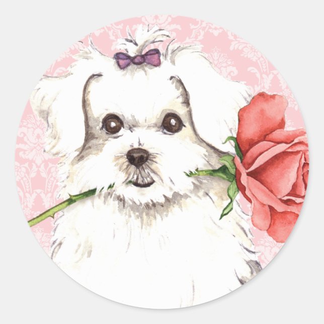 Sticker Rond Valentine Rose maltais (Devant)