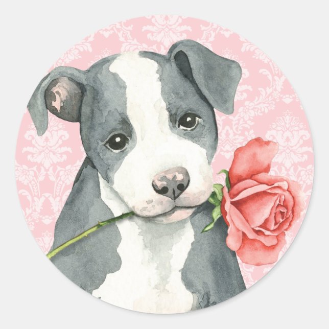 Sticker Rond Valentine Rose Pit Bull (Devant)