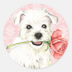 Sticker Rond Valentine Rose Westie