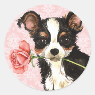 Sticker Rond Valentine s'est levé long chiwawa de manteau