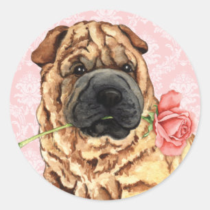 Sticker Rond Valentine Shar-Pei rose