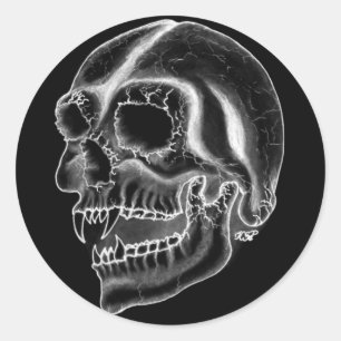 Sticker Rond Vampire skull black and white design