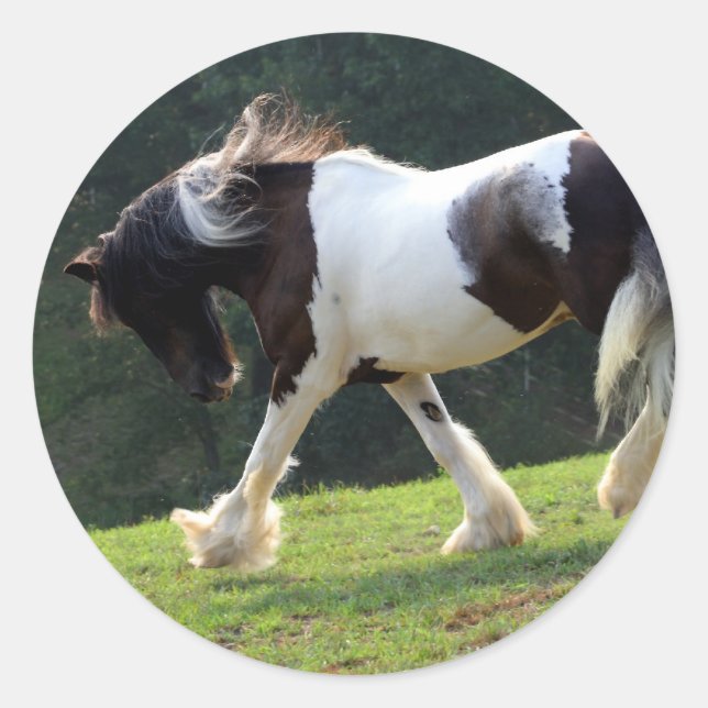 Sticker Rond Vanner Tsigane (Devant)