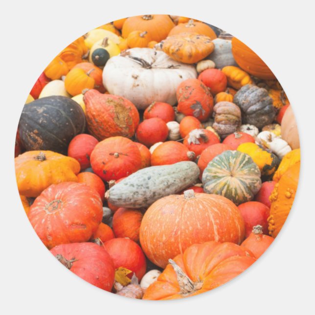 Sticker Rond Variété de courge à vendre, Allemagne (Devant)