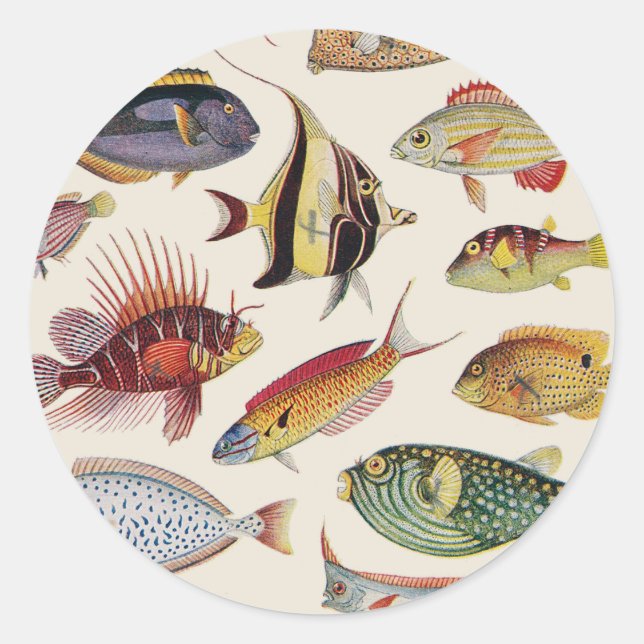 Sticker Rond Variétés de poissons (Devant)