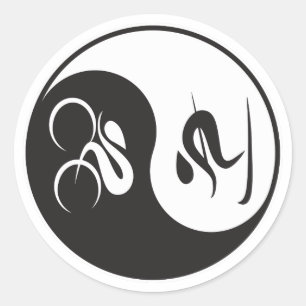 STICKER ROND VÉLO-SKI YIN-YANG