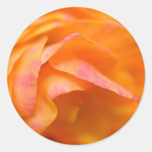 Sticker Rond vérité solitaire