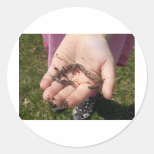 Sticker Rond vers dans les mains des enfants