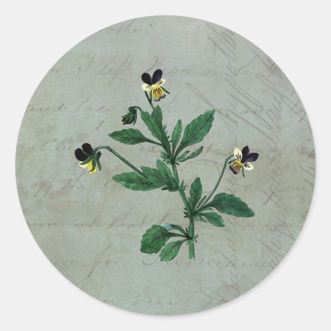 Sticker Rond Vert gris avec Violas botaniques (Devant)