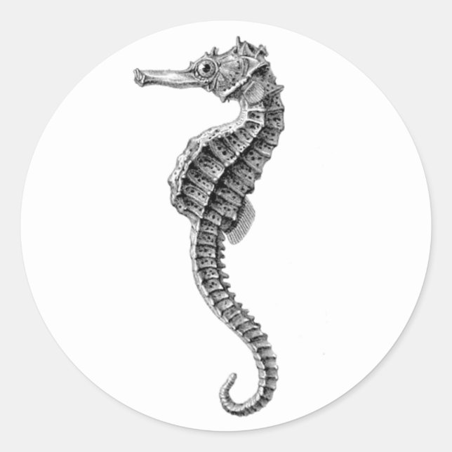 Sticker Rond vie marine "SEAHORSE" ENVELOPE SEAL STICKKER (Devant)