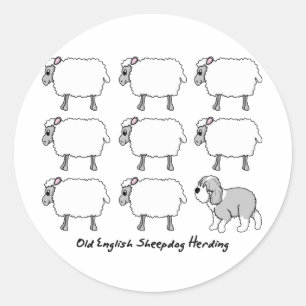 Sticker Rond Vieux anglais Sheepdog Herding Sheep