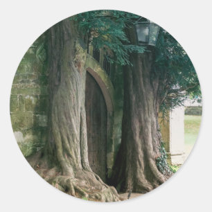 Sticker Rond Vieux arbres de Yew