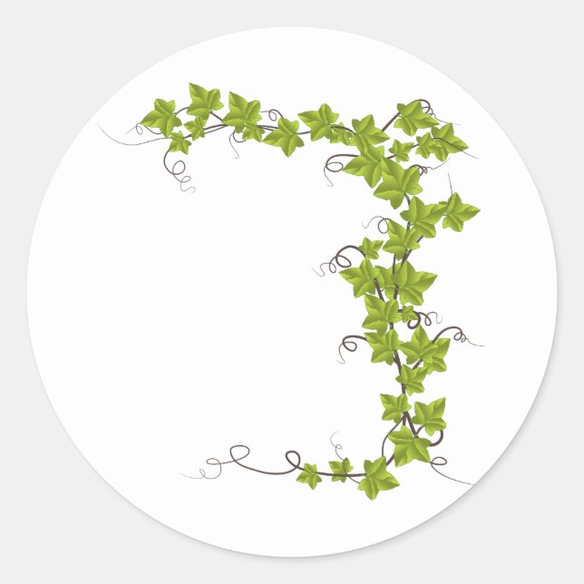 Sticker Rond vigne, feuilles verts (Devant)