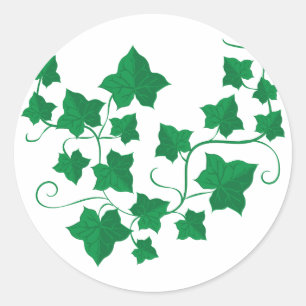Sticker Rond Vignes d'Ivy