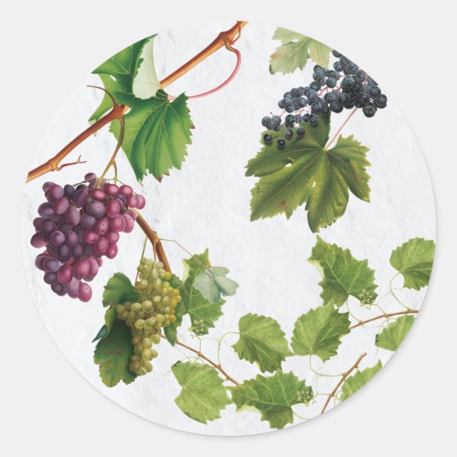 Sticker Rond Vignoble de raisins Ile grecque méditerranéenne (Devant)