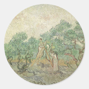 Sticker Rond Vincent van Gogh - Récolte des olives