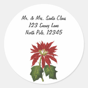 Sticker Rond Vintage Noël, Rouge Poinsettia Plante d'hiver