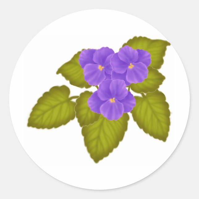 Sticker Rond Violettes africaines violettes (Devant)
