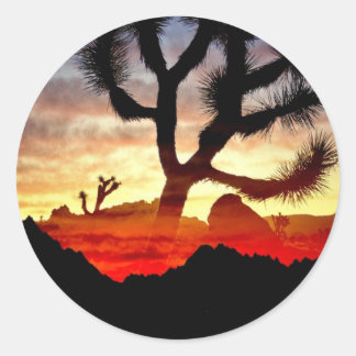 Sticker Rond vision cactus