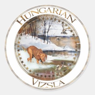 Sticker Rond Vizsla hongroise, canards de chasse en hiver