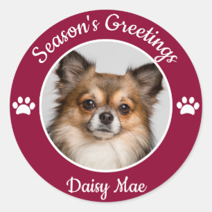 Sticker Rond Vœux de saison Photo de chien mignon avec nom Paws