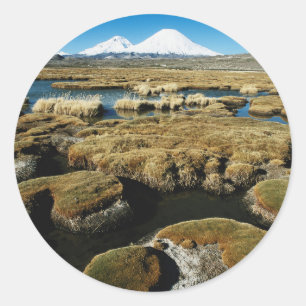 Sticker Rond Volcans Payachalas