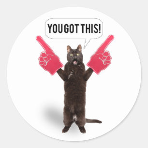 Sticker Rond Vous Avez Cette Encouragement Chat À La Fête C