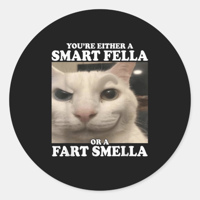 Sticker Rond Vous êtes un Fella intelligent ou un Fart Smella d (Devant)