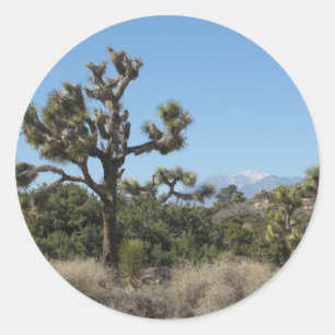 Sticker Rond Vue Arborescence Joshua