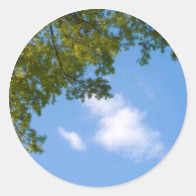 Sticker Rond vue sur le ciel avec le sommet de l'arbre (Devant)