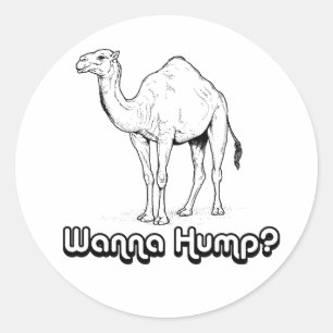 Sticker Rond Wanna Hump