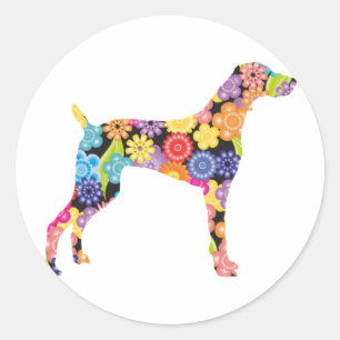 Sticker Rond Weimaraner