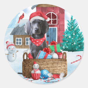 Sticker Rond Weimaraner Chien dans la neige Maison de Chien de 