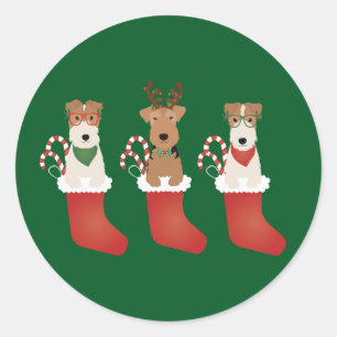 Sticker Rond Welsh Wire Fox Terrier Chiens Noël