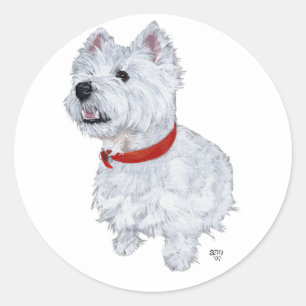 Sticker Rond West Highland White Terrier - Regard vers le haut