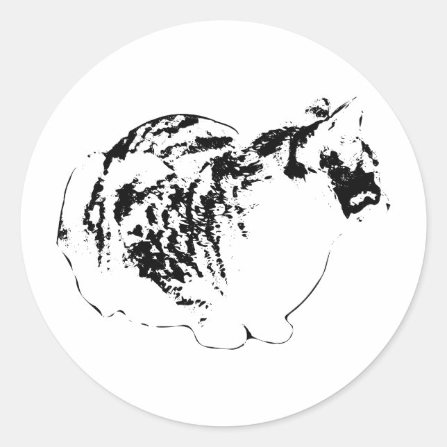 Sticker Rond Whiskers à l'horizon (Devant)