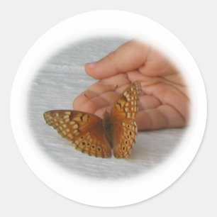 Sticker Rond Whisperer de papillon
