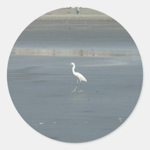 Sticker Rond White Bird on Grey Sand Beach Art Imprimer
