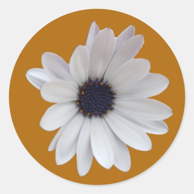 Sticker Rond White Daisy Purple Center Gold Arrière - plan Phot (Devant)