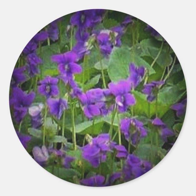 Sticker Rond WI bois violets marqueteurs (Devant)