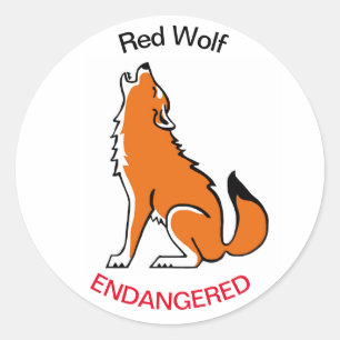 Sticker Rond Wildlife Red WOLF -Animal activiste- Conservation-