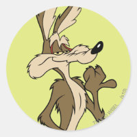 WILE E. COYOTE™ Air Affamé