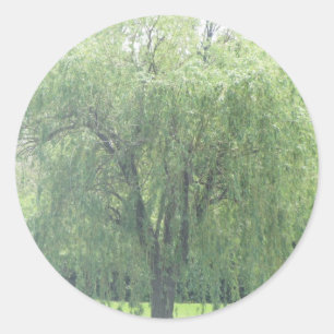 Sticker Rond WIllow en larmes