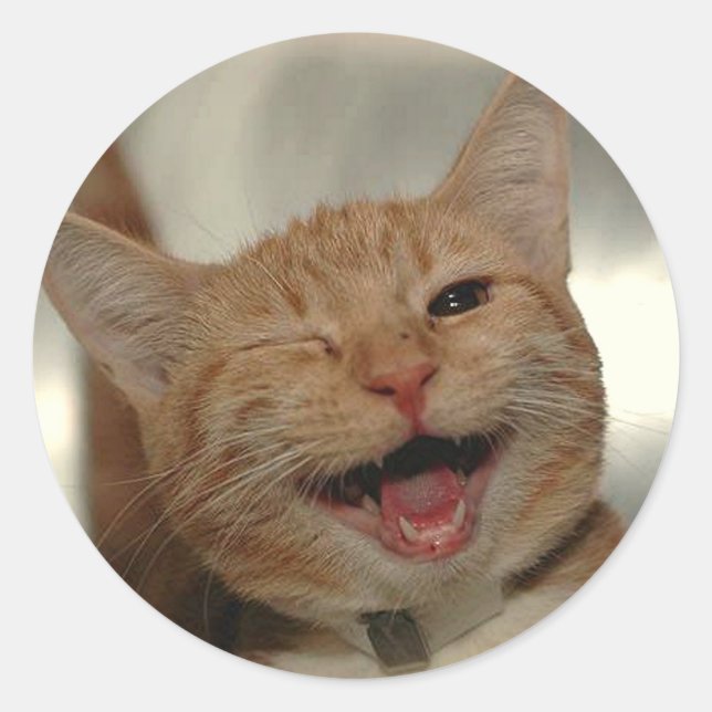 Sticker Rond Winking Happy Ginger Cat (Devant)