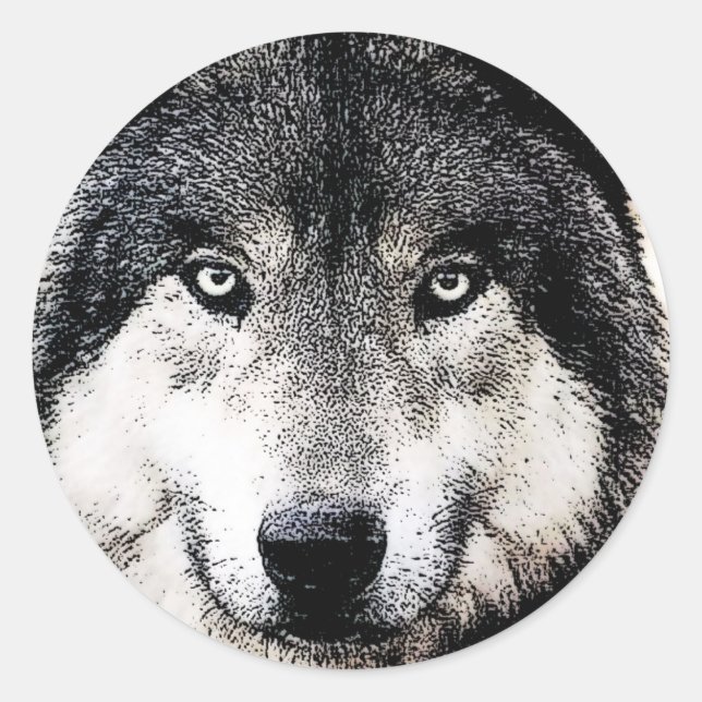 Sticker Rond Wolf Eyes (Devant)
