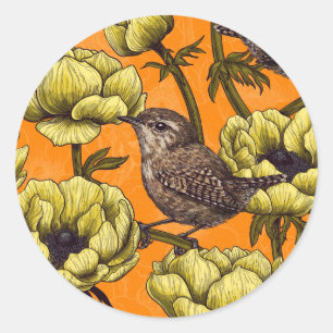 Sticker Rond Wrens dans le jardin d'anémones jaunes