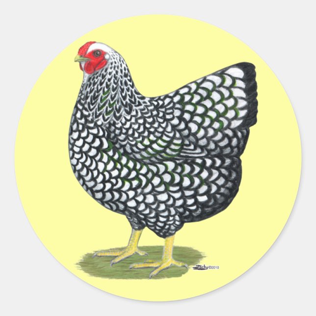 Sticker Rond Wyandotte : Hen à lacet argent (Devant)