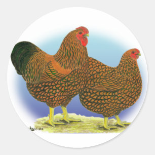 Sticker Rond Wyandotte :  Paire dorée