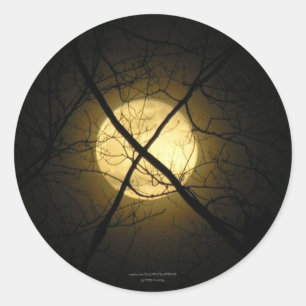 STICKER ROND X MARQUE L'EMPLACEMENT